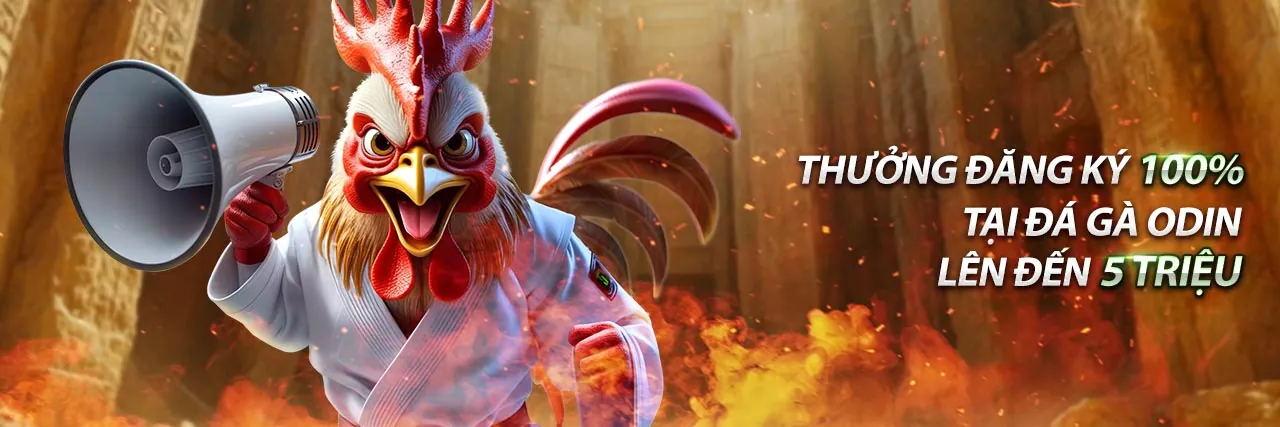 Đăng ký nhận bản tin từ new88 có