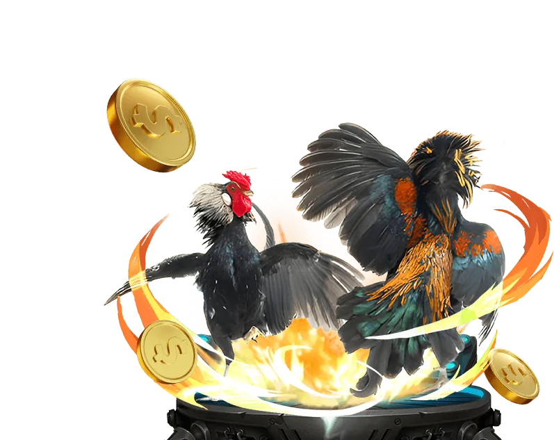 Hướng dẫn đặt cược đá gà new88 có