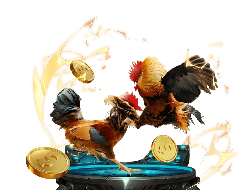 Cá cược Bóng Đá new88 có